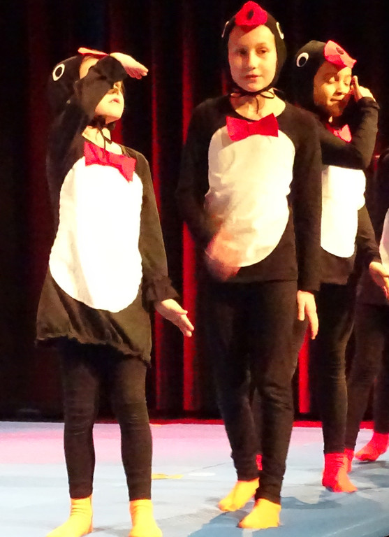 T 8 Pinguine.jpg