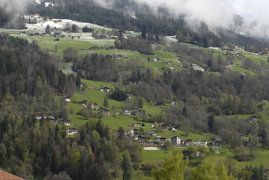 _DSC04590017_JPG-1273858871