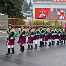 Bregenzer Prinzengarde Umzug Bregenz