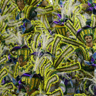 002a6b449ac341f4902ced7c98bfc341-002a6b449ac341f4902ced7c98bfc341-0.jpg