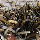 ABD0028-20150216.jpg