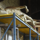 ABD0034-20150216.jpg