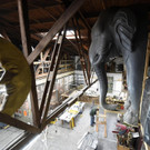 ABD0042-20150216.jpg