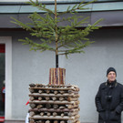 bea_Fasching_Satteins _276 von 459_.jpg