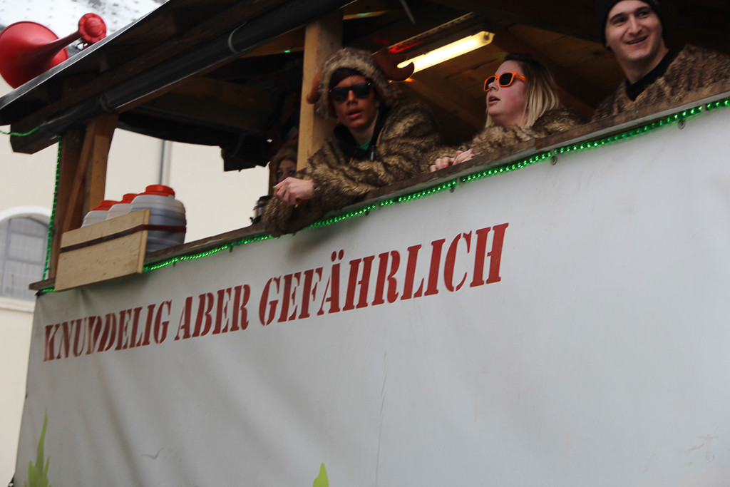 bea_Fasching_Satteins _335 von 459_.jpg
