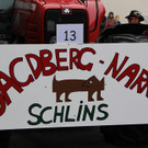 bea_Fasching_Satteins _233 von 459_.jpg