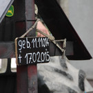 bea_Fasching_Satteins _353 von 459_.jpg