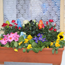bea_Fasching_Satteins _388 von 459_.jpg