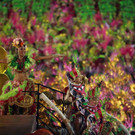 file6j912v9w7pyx3ndinf5.jpg