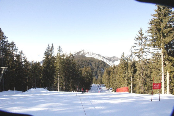 _MG_0209.jpg