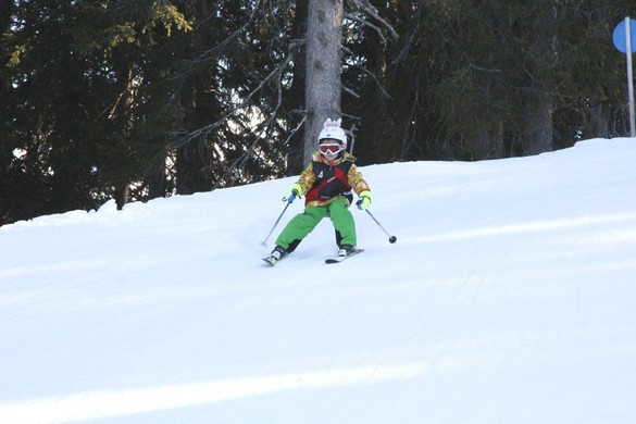 _MG_9585.jpg