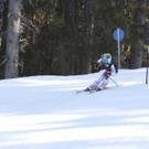 _MG_9995.jpg