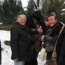 2015-02-14_0057_bearbeitet-1.jpg