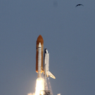 dc1-5ufpg1861jk1mv7kfbxm_original.jpg