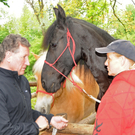 a Tierausstellung 15_05_2010 9.jpg