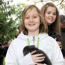 a Tierausstellung 15_05_2010 22.jpg