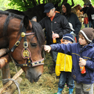 a Tierausstellung 15_05_2010 32.jpg