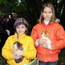 a Tierausstellung 15_05_2010 54.jpg