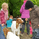 a Tierausstellung 15_05_2010 78.jpg