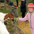 a Tierausstellung 15_05_2010 91.jpg