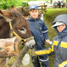 a Tierausstellung 15_05_2010 101.jpg