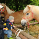 a Tierausstellung 15_05_2010 116.jpg