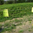 Bilder 08122008 021.jpg