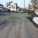 Binsenfeld_1.jpg