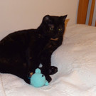 sheila_001.jpg