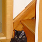 sheila1_001.jpg
