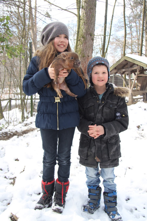 KOE-Wildpark Tierpaten 2.jpg