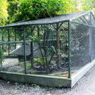 KOE-Wildpark Tierpaten 9.jpg