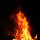 IMG_4005_JPG-1424603788.jpg