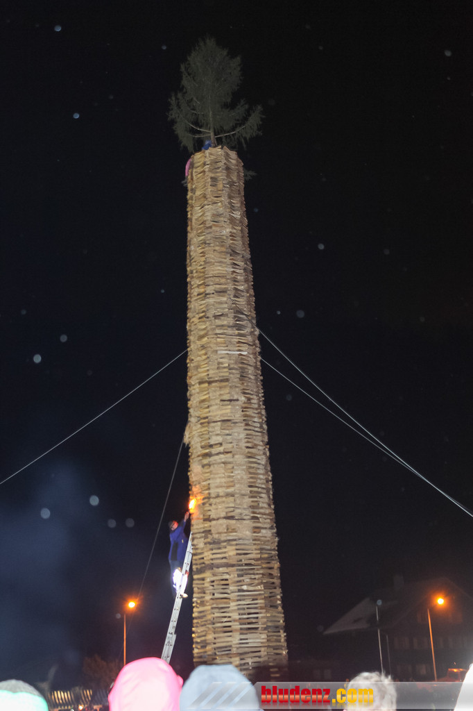 13977840.jpg
