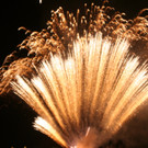 47-IMG_4896.JPG