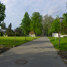 101_1343_jpg-1273951013
