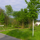 101_1346_jpg-1273951032
