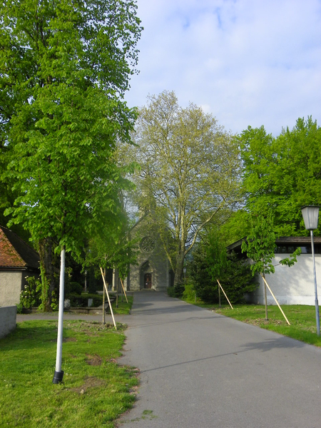 101_1348_jpg-1273951052