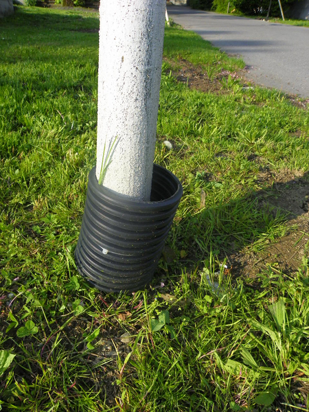 101_1355_jpg-1273951079