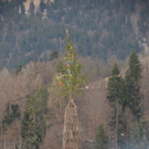 DSC_8995.jpg