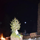 DSC_8996.jpg