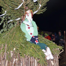 DSC_8998.jpg