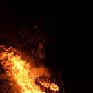 DSC_9037.jpg