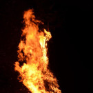 DSC_9083.jpg