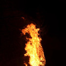 DSC_9119.jpg