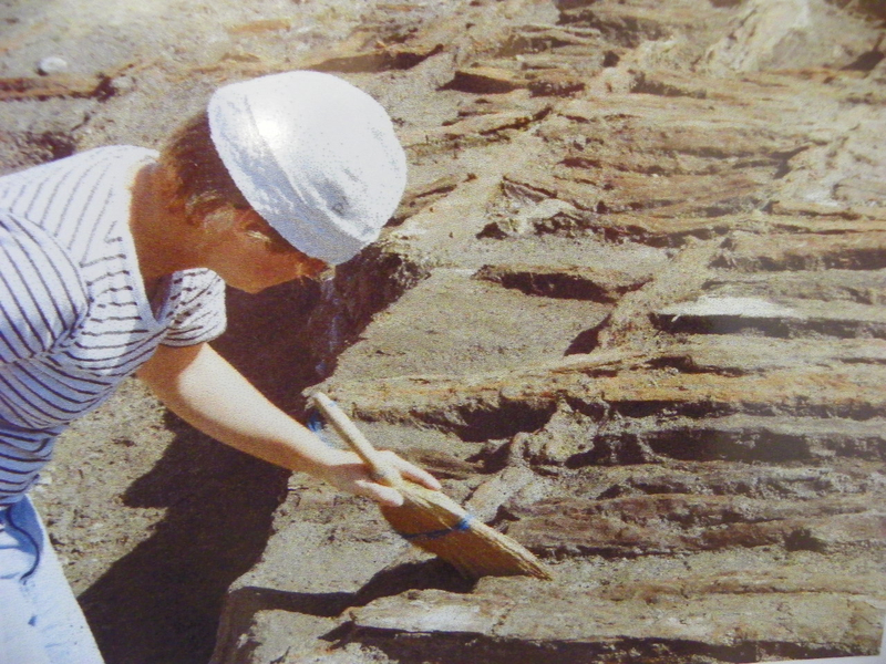 101_2370_jpg-1273957206