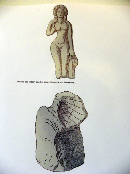 101_2361_jpg-1273957124