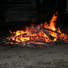 IMG_1181.JPG