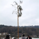 BK_Funken Montikel Tosters 6.jpg