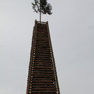 IMG_1239.jpg